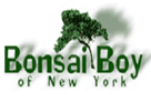 Bonsai Boy of New York logo
